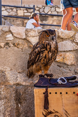 Peniscola castle and town in Castellon, Spain.