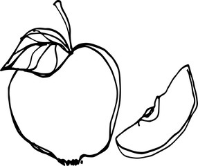 Apples line drawn on a white background vector sketch of the fruit organic illustration health symbol diet fruit healthy delicious leaf single line food natural vector sweet vegetarian