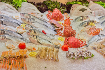 Fish 4