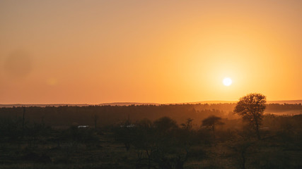 Sunrise in kruger national park south africa