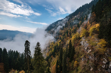 The mountain autumn landscape with colorful forest and high peaks Caucasus Mountains