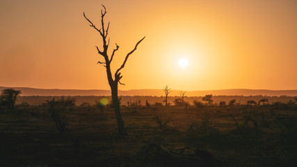 Sunrise in kruger national park south africa