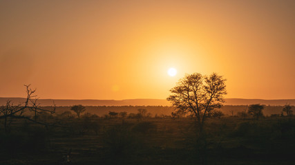 Fototapeta na wymiar Sunrise in kruger national park south africa