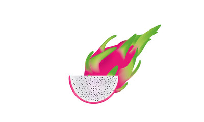 Fresh Dragon fruit and cut vector and illustration