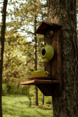 unusual kettle, modern art, kettle on the tree, green teapot