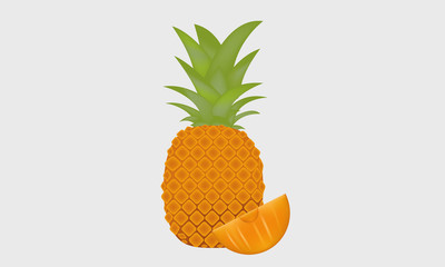 Fresh pineapple fruit tropical vector and illustration