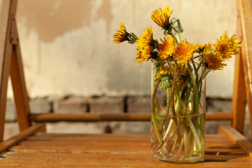 photo of dandelions in early spring, decoration