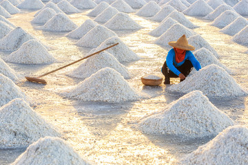 Female working keep sea salt in a basket on a salt farm. Sea salt is salt that is caused by the...