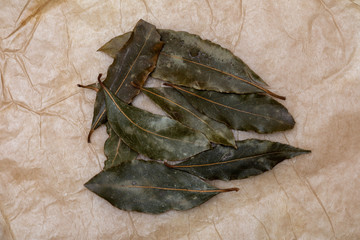 Laurel leaf group. On a beautiful rustic vanilla background. Top View