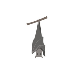 Cartoon bat. Cute Cartoon bat, Vector illustration on a white background. Drawing for children.