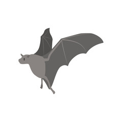 Cartoon bat. Cute Cartoon bat, Vector illustration on a white background. Drawing for children.