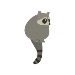 Cartoon raccoon. Cute Cartoon raccoon, Vector illustration on a white background. Drawing for children.
