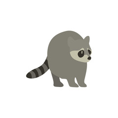 Cartoon raccoon. Cute Cartoon raccoon, Vector illustration on a white background. Drawing for children.
