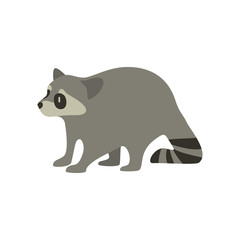 Cartoon raccoon. Cute Cartoon raccoon, Vector illustration on a white background. Drawing for children.