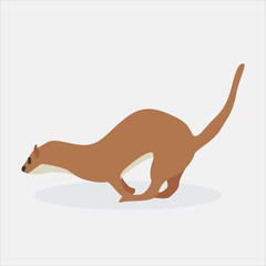 Cartoon otter. Cute Cartoon otter, Vector illustration on a white background. Drawing for children.