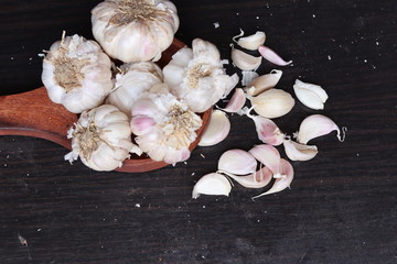 One whole aromatic white garlic isolated on white background