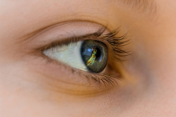 Fototapeta premium Eye with reflection of the flame close up. The girl with the fire in her eyes. 