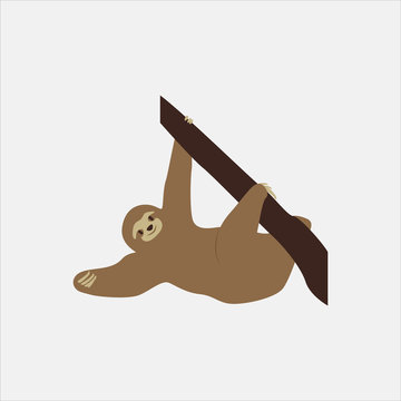 brown sloth hanging on branch clip art preview