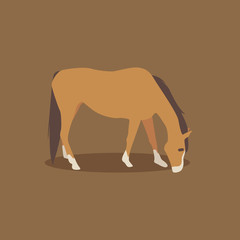 Obraz premium Cartoon horse. Cute Cartoon horse, Vector illustration on a brown background. Drawing for children.