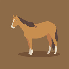Cartoon horse. Cute Cartoon horse, Vector illustration on a brown background. Drawing for children.