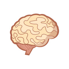 brain illustration design element. flat icon.