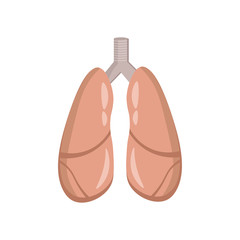 lungs illustration design element. flat icon.