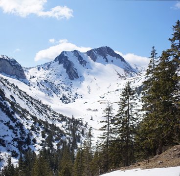 Geitau Bilder Durchsuchen 141 Archivfotos, und Videos