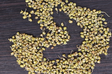 Fresh germinated green gram beans in white background