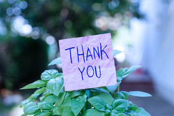Conceptual hand writing showing Thank You. Concept meaning polite expression used when...