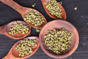 Fresh germinated green gram beans in white background