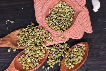 Obraz na płótnie Canvas Fresh germinated green gram beans in white background