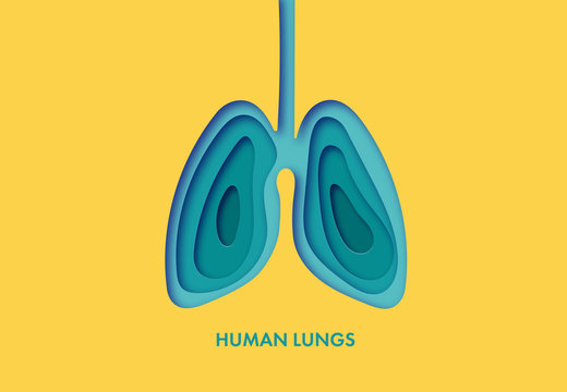 Vector Illustration Of Lungs In Paper Art Style.