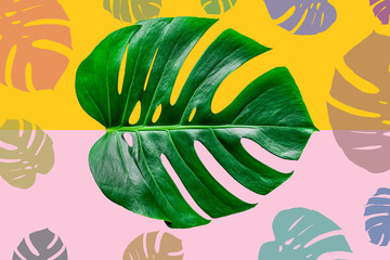 Exotic tropical summer frame with monstera leaves and place for tex. Stock vector illustration. Vector design for invitation cards, flyers. Vector monstera leaves design. 