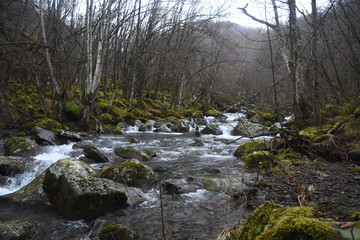 trekkking and outdoor , italian hills