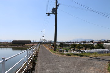 田園風景