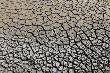 土のひび割れ