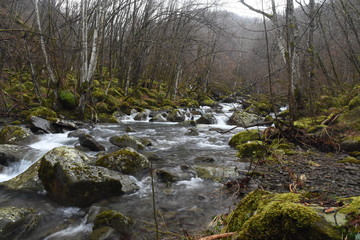 trekkking and outdoor , italian hills