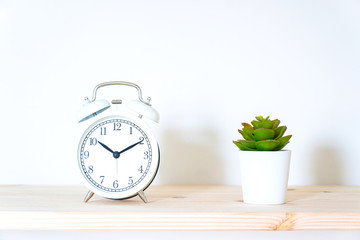 Alarm clock and flower pot on white background. Front view. Copy space