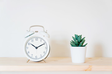 Alarm clock and flower pot on white background. Front view. Copy space