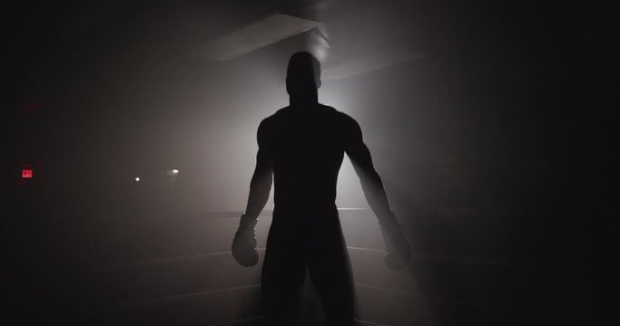 Silhouette of boxer preparing to fight