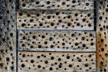 Bienen Wespen, Insekten Hotel - Nisthilfe mit gut getrocknetem Harholz, mit Maschendraht geschützt. 