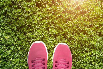 Top view of man in pink sneakers standing on green grass. Copy space.
