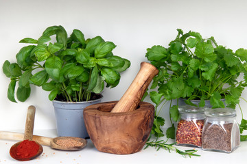 Mortar and pestle with fresh plants, herbs and spices