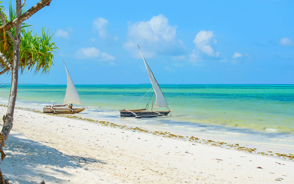 Traditional African solid wood boats under sail on the shore of the Indian ocean with turquoise water on the island of Zanzibar, a concept of travel and summer
