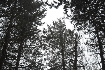 trekkking and outdoor , italian hills