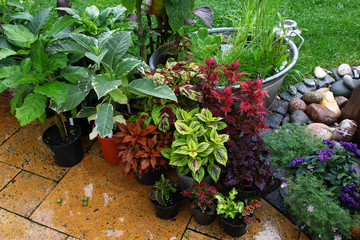 Nice waterfeature on the patio with lots of different plants in shabby chic containers showing off...