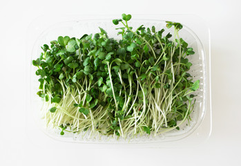 Microgreen radish shoot in plastic box on white bakgorund, top view. Superfood, closeup. Concept healthy lifestyle and eating