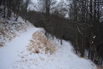 trekkking and outdoor , italian hills
