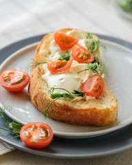 cheese and tomato sandwich