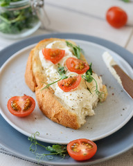 cheese and tomato sandwich